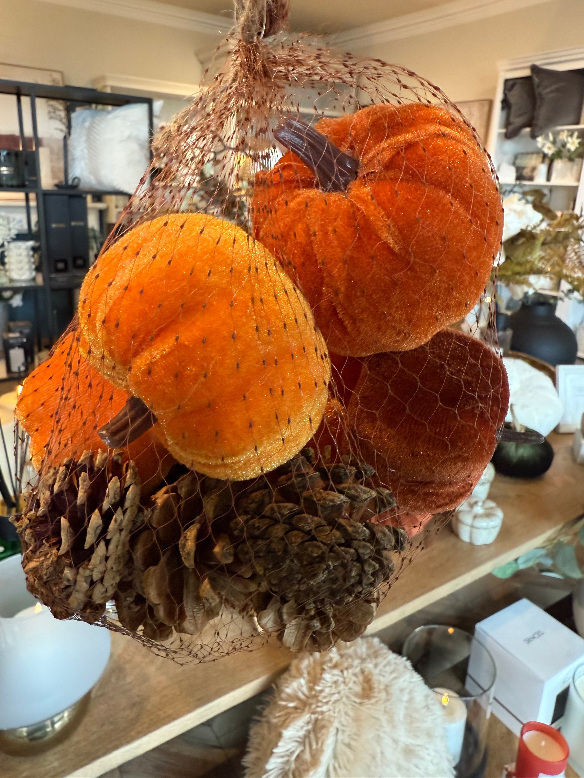 Velvet Pumpkins Pinecones Bag