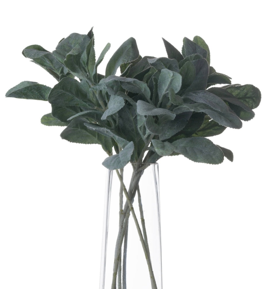 Lambs Ear Spray Short Stem