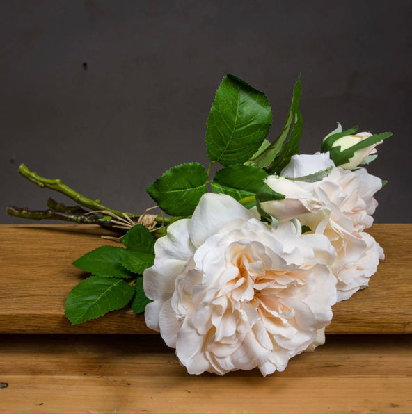 Peachy Cream Rose Bouquet
