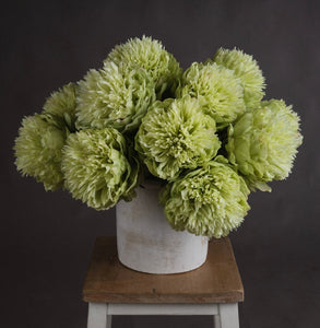 Green Peony