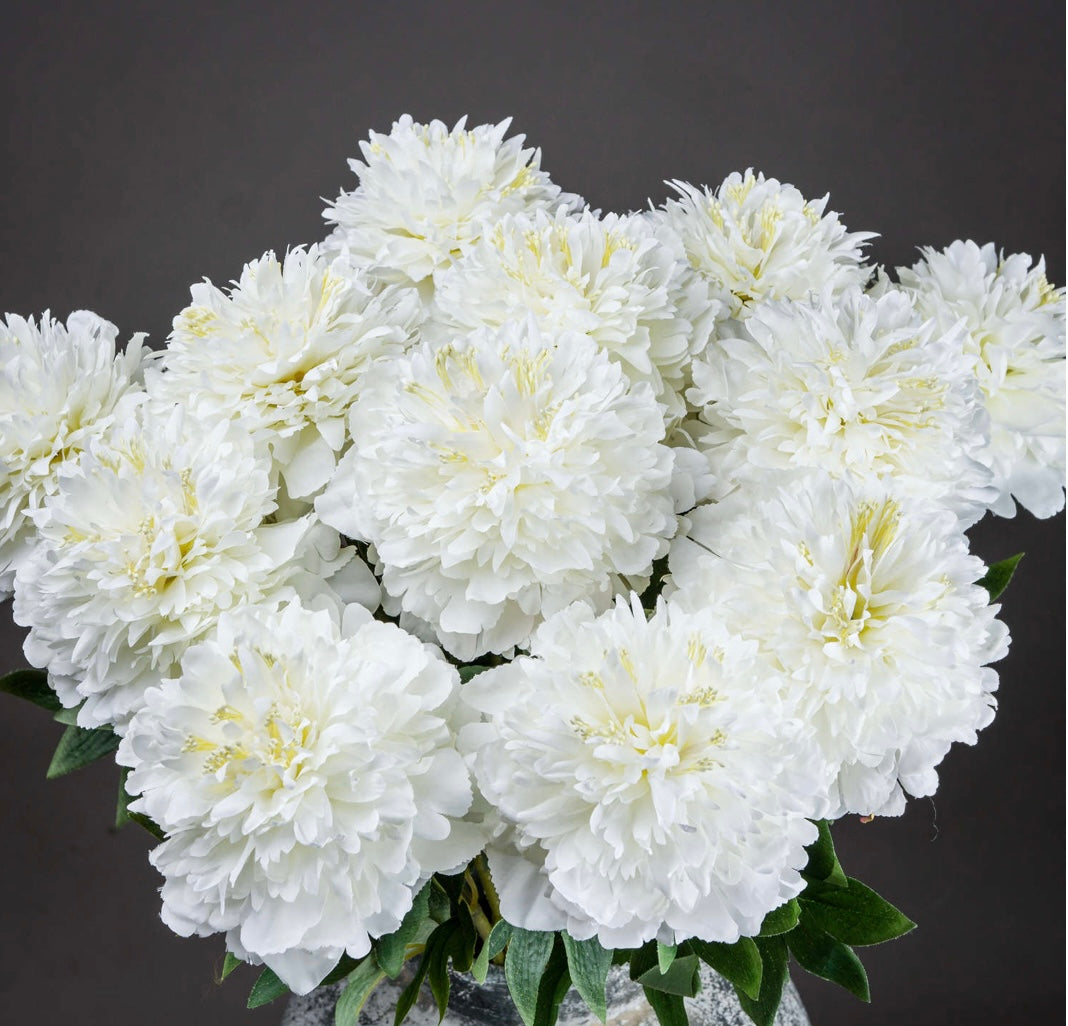 Classic White Peony