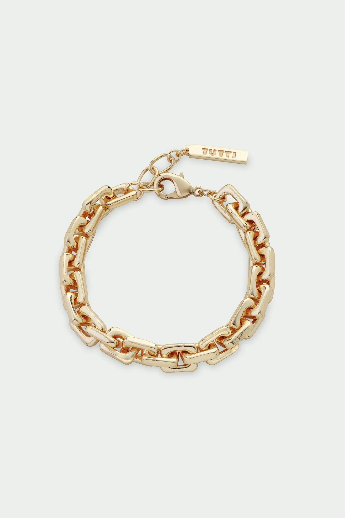 Link Bracelet Gold