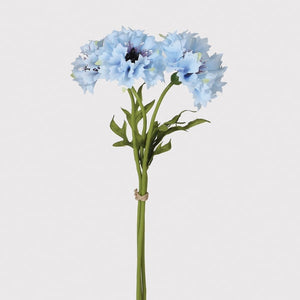 Blue Cornflower Bundle