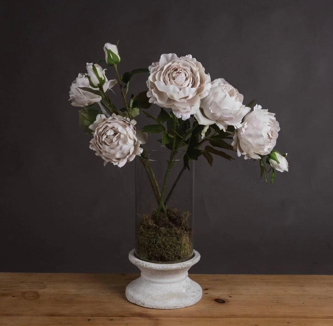 Grey spray rose peony